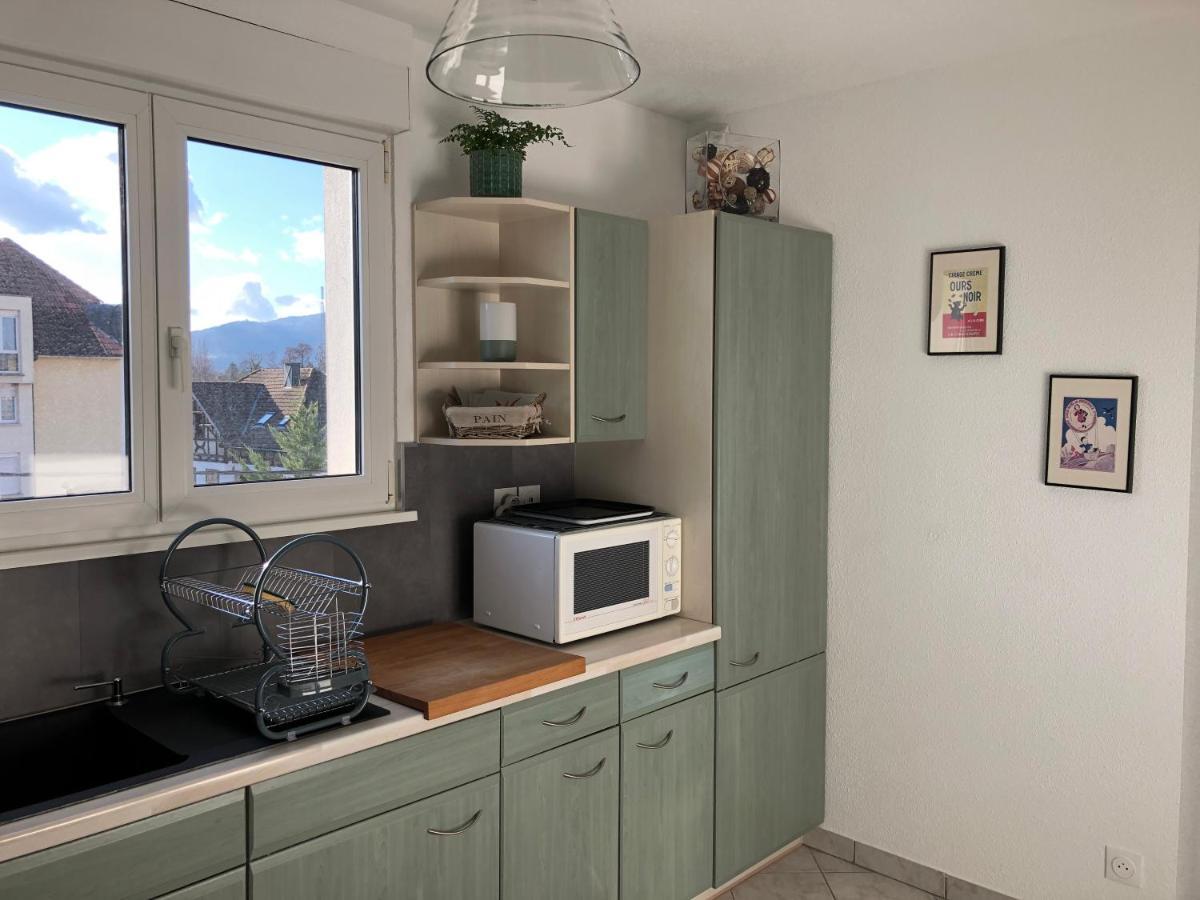 Apartament Au Pied Des Vosges Obernai Zewnętrze zdjęcie
